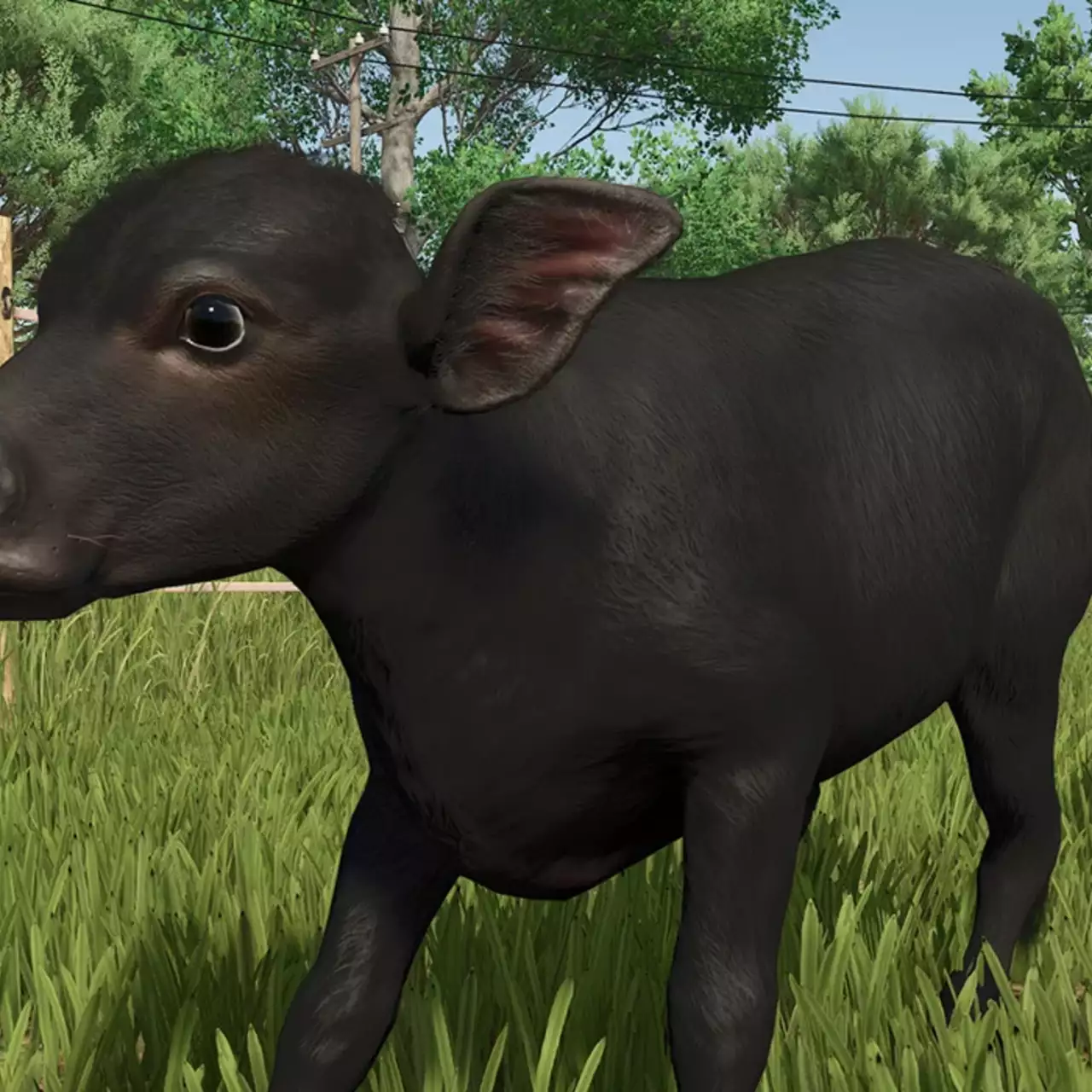 Як розводити водяних буйволів у Farming Simulator 25: гід по догляду та отриманню прибутку Як розводити водяних буйволів у Farming Simulator 25: гід по догляду та отриманню прибутку