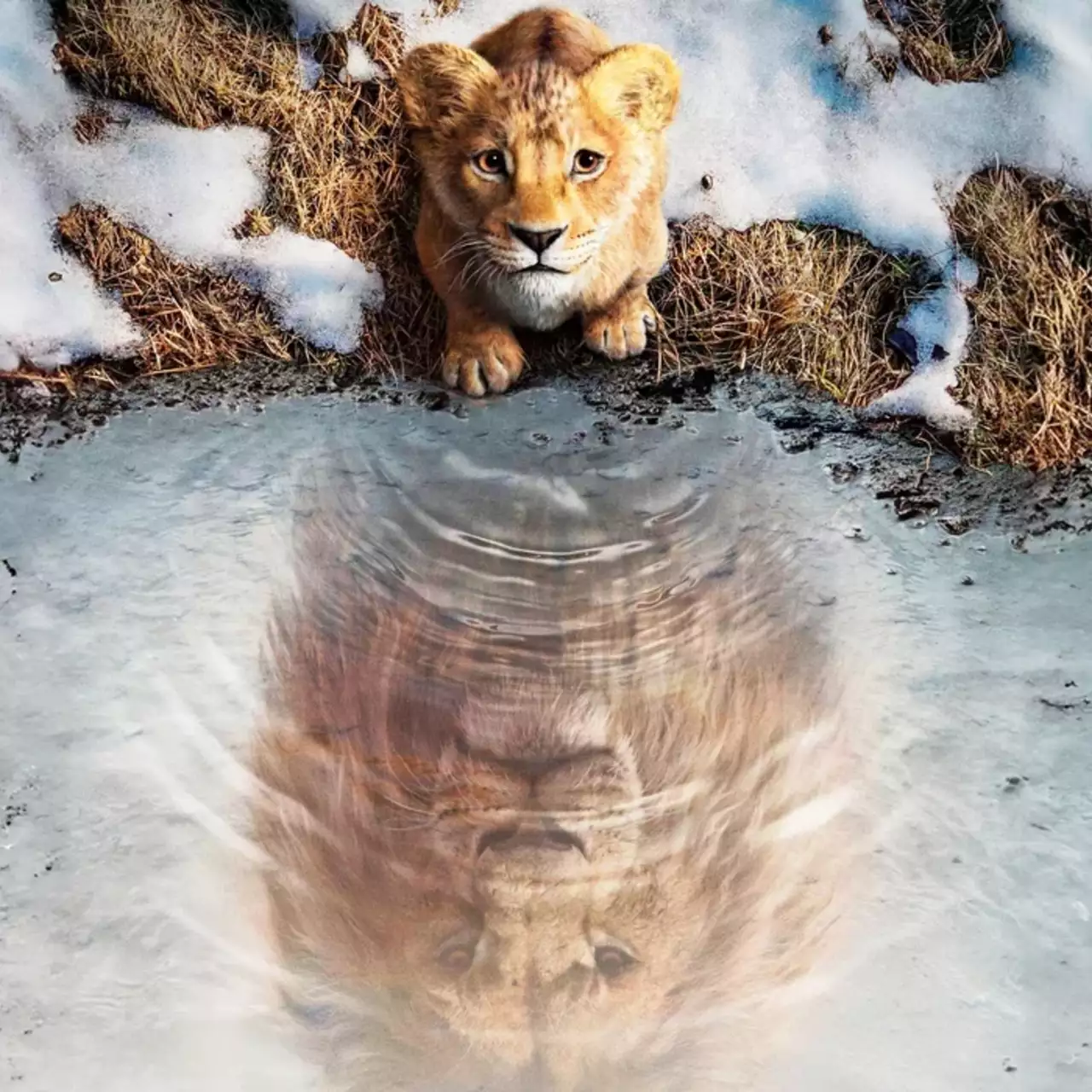 Primeiras Avaliações para o Prequel do Rei Leão da Disney Sobre Mufasa Surgem