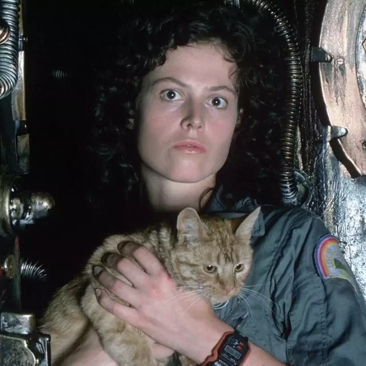 Зірка «Чужого» Сігурні Уівер зізналася, ради кого зіграла в «Мандалорці та Грогу»