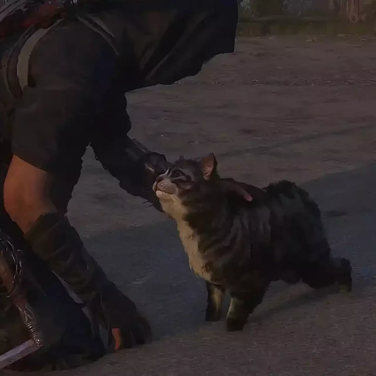 How to Get Pets in Assassin's Creed Shadows