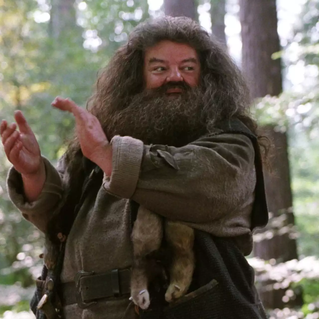 Relatório: Nick Frost vai interpretar Hagrid na série 'Harry Potter' Relatório: Nick Frost vai interpretar Hagrid na série 'Harry Potter'