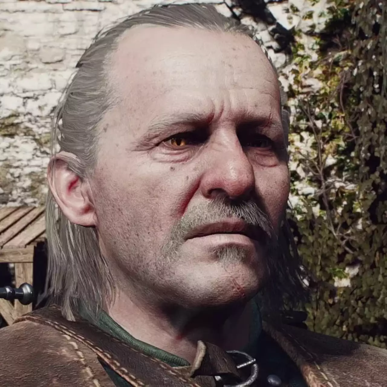 'Boa sorte, querido velho amigo': O dublador de Vesemir nos jogos The Witcher faleceu 'Boa sorte, querido velho amigo': O dublador de Vesemir nos jogos The Witcher faleceu