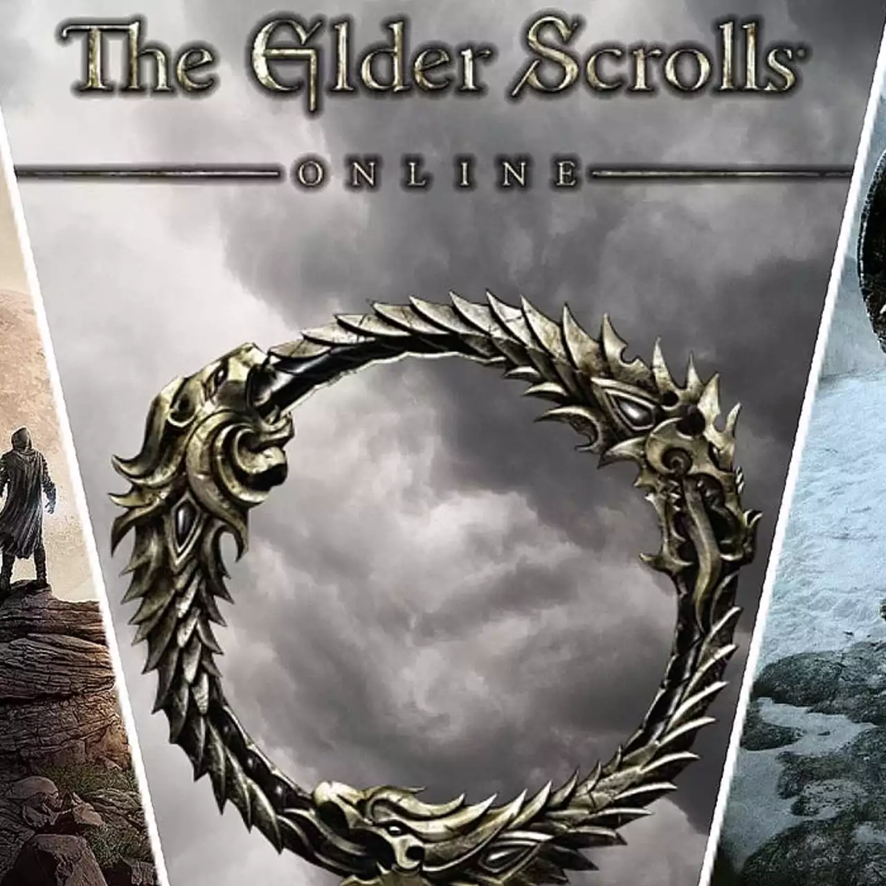 Bethesda продає шматочки серверів ESO: фанати зможуть купити «історію» за $110