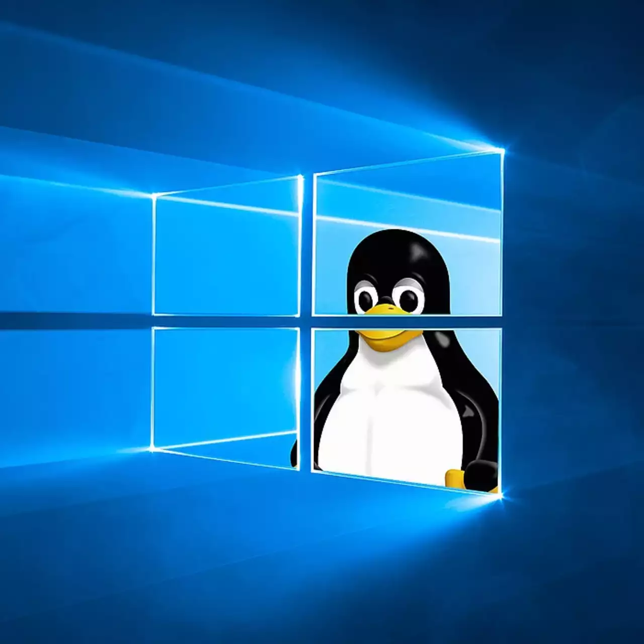 Valve lanza la versión beta de Proton 10.0 con soporte mejorado para juegos de Windows en Linux