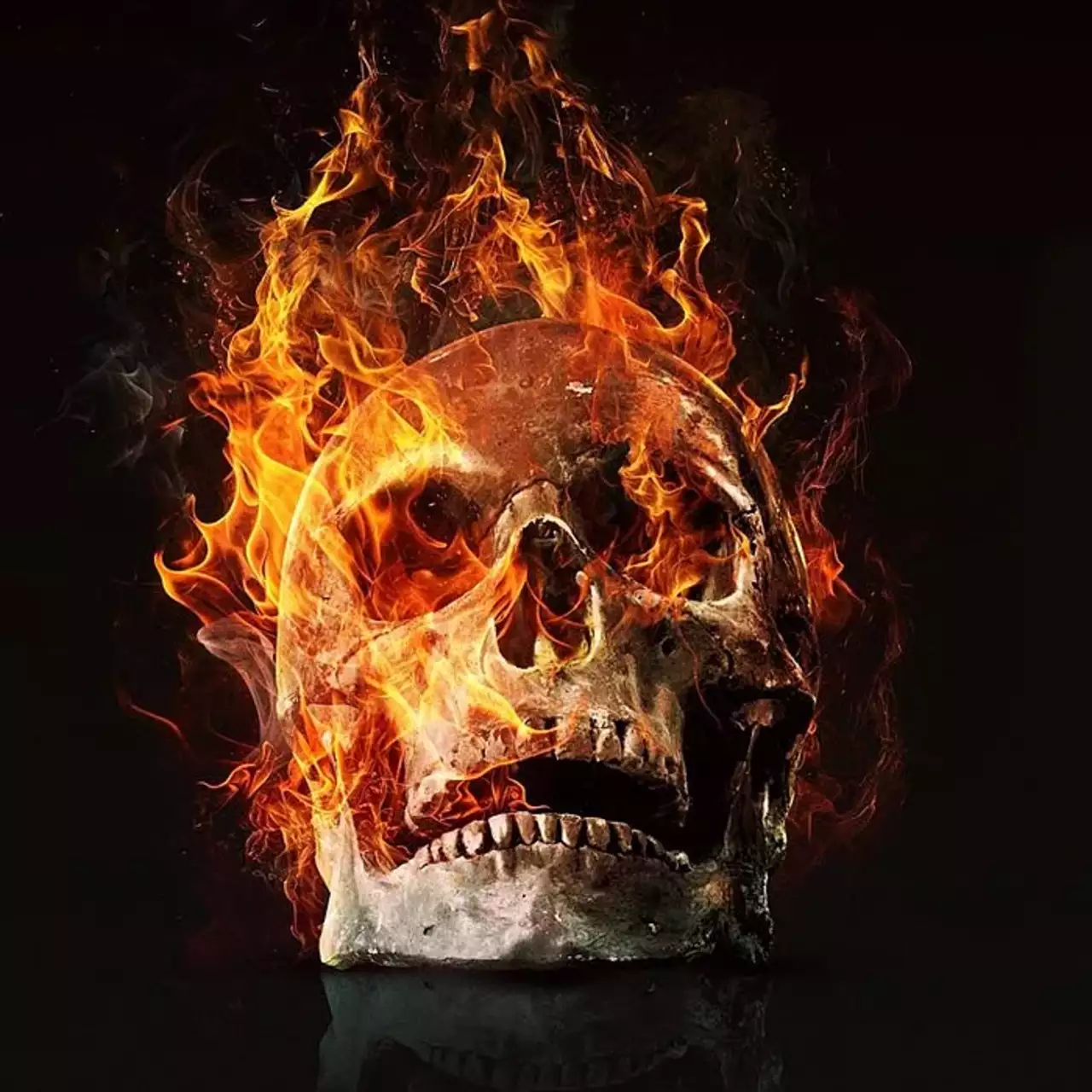 《最终目的地：血脉》的评论。你是如何应对那辆伐木卡车和木头场景的？