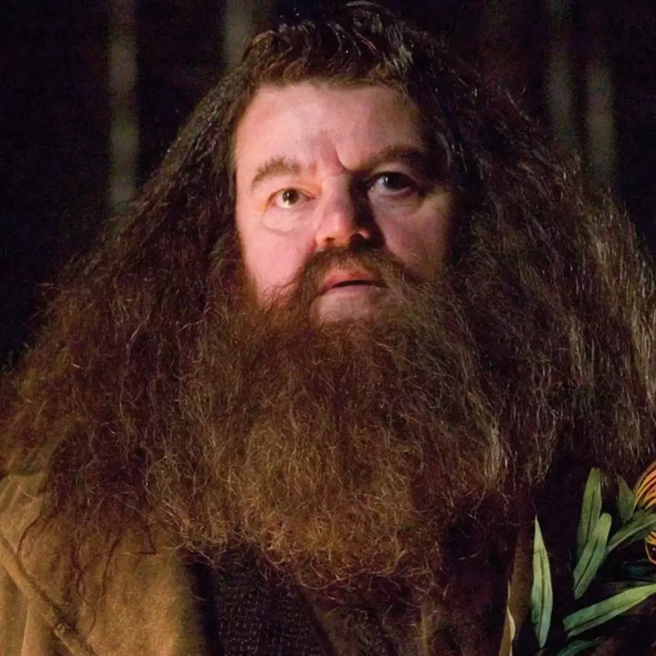 Ator da série 'Harry Potter' diz que não vai copiar o Hagrid de Robbie Coltrane Ator da série 'Harry Potter' diz que não vai copiar o Hagrid de Robbie Coltrane