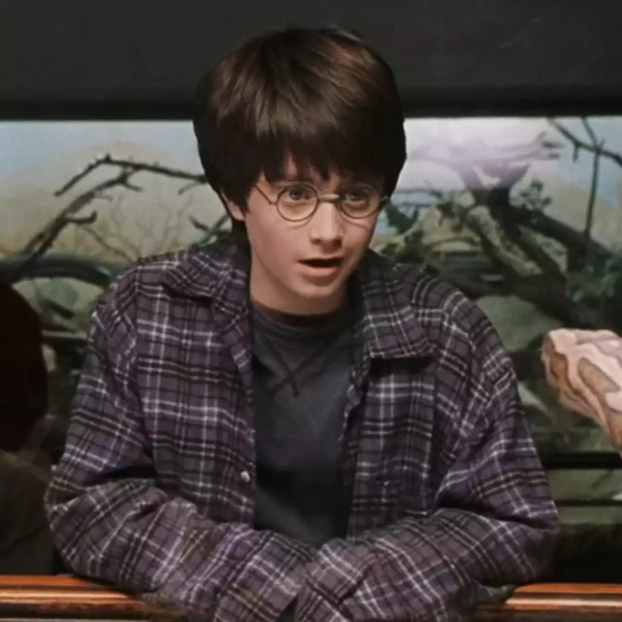 Scena w zoo: Pierwsze zdjęcia z planu serialu Harry Potter od HBO Scena w zoo: Pierwsze zdjęcia z planu serialu Harry Potter od HBO