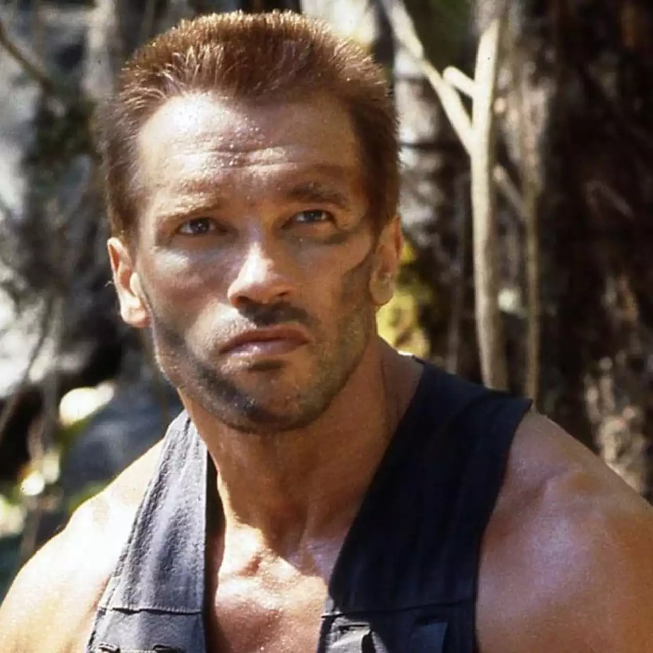 Finalização Estendida de 'Predador: Matador de Matadores' Apresenta o Personagem de Arnold Schwarzenegger Finalização Estendida de 'Predador: Matador de Matadores' Apresenta o Personagem de Arnold Schwarzenegger