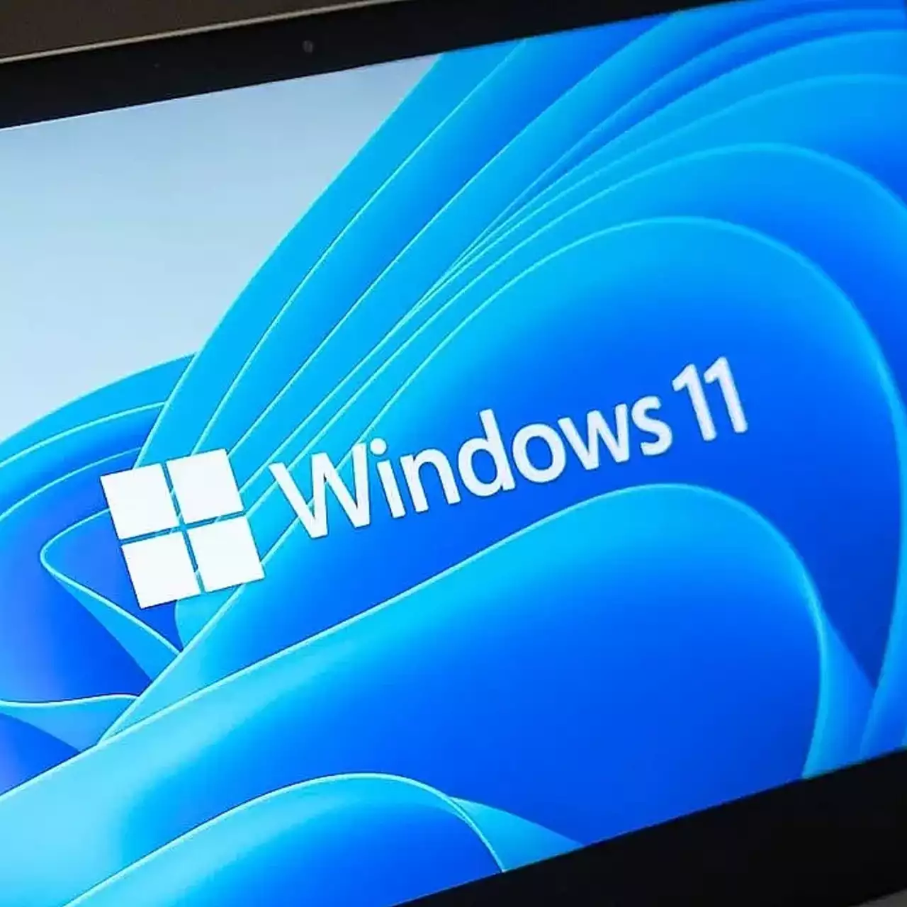 Небезпечне оновлення для Windows 11: користувачі повідомляють про збої накопичувачів під час запису великих файлів
