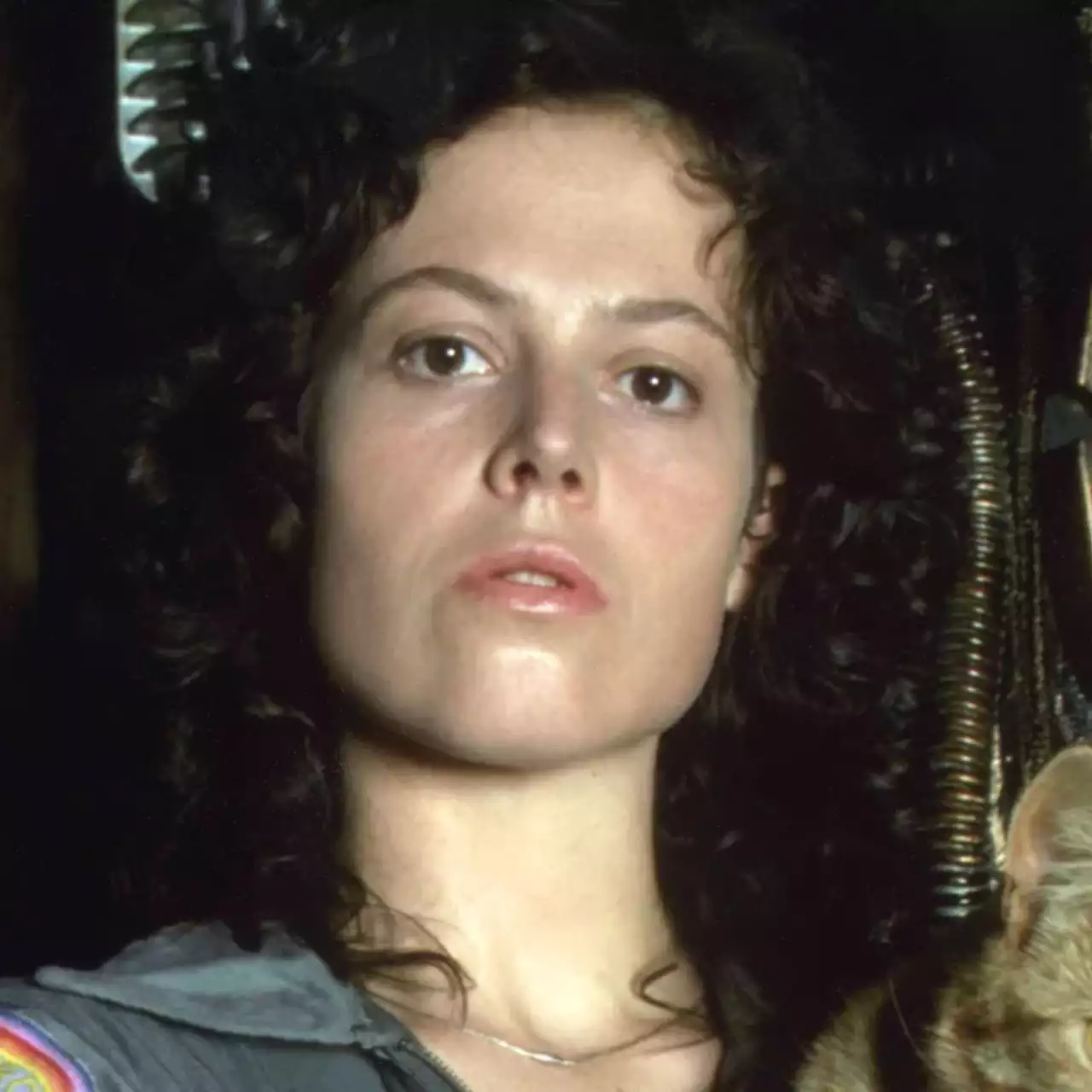 Sigourney Weaver sugeruje możliwy powrót do franczyzy 'Obcy' Sigourney Weaver sugeruje możliwy powrót do franczyzy 'Obcy'