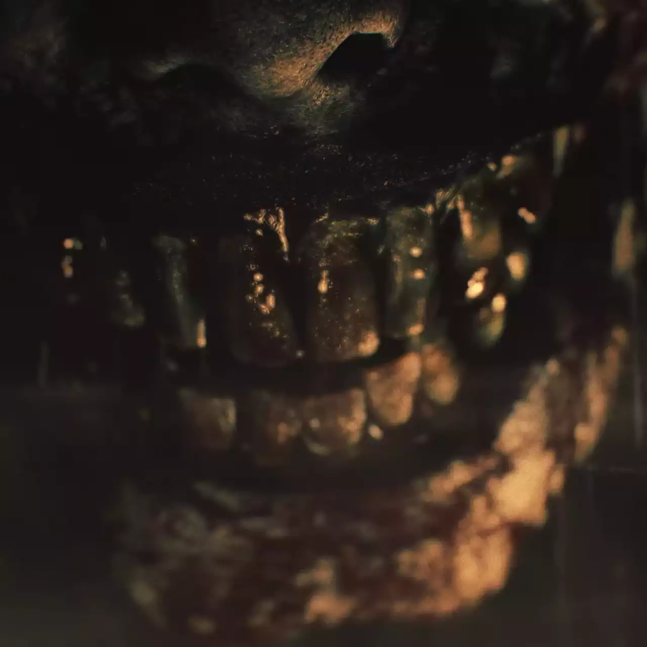 Чутка: в мережу витекли обкладинка та зміст Deluxe-видання Resident Evil Requiem