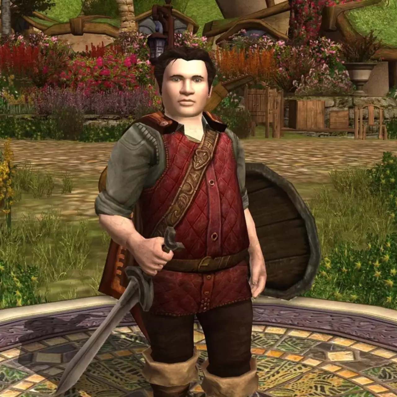 Гравець у Lord of the Rings Online пройшов шлях Фродо до Рокової гори — 10 годин, без телепортів і «читів»