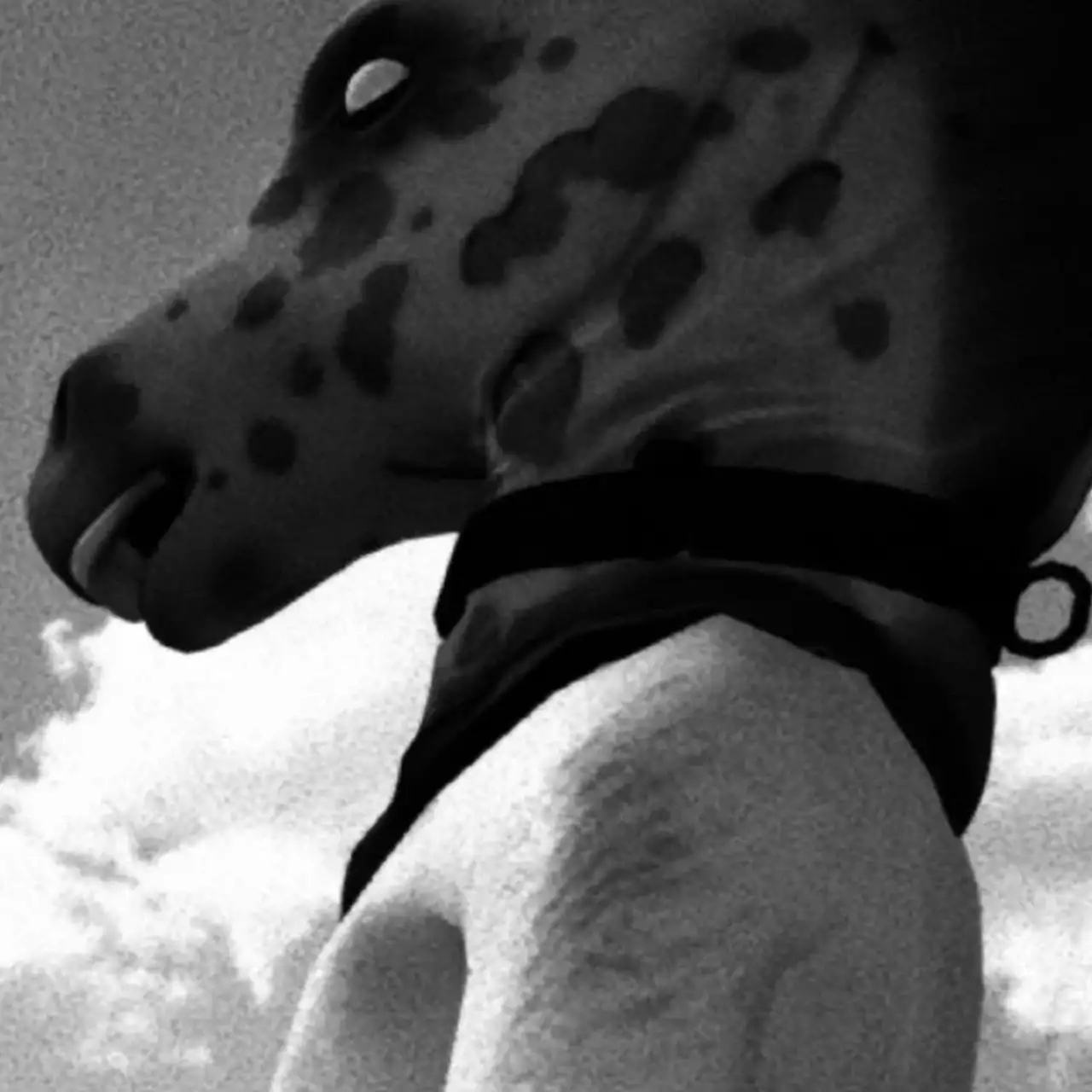 Banned Horror Horses Tops GOG Charts Amid Censorship Scandal — Game Returns to Humble While Steam and Epic Still Refuse to Release It