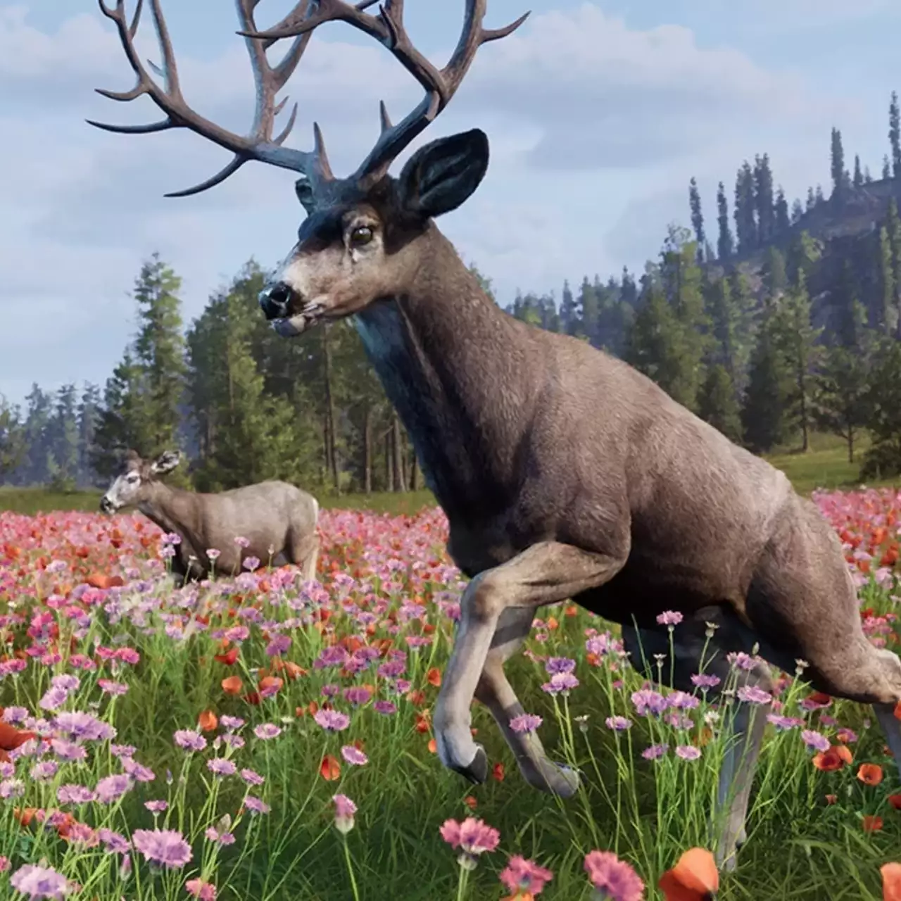 Way of the Hunter 2 Trailer Released