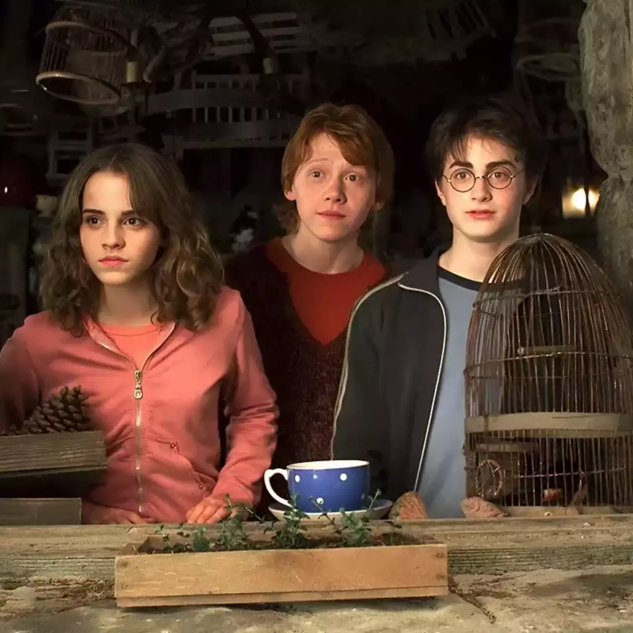 Uji: Karakter Harry Potter Mana yang Kamu, Albus Dumbledore atau Sang Lord Kegelapan?