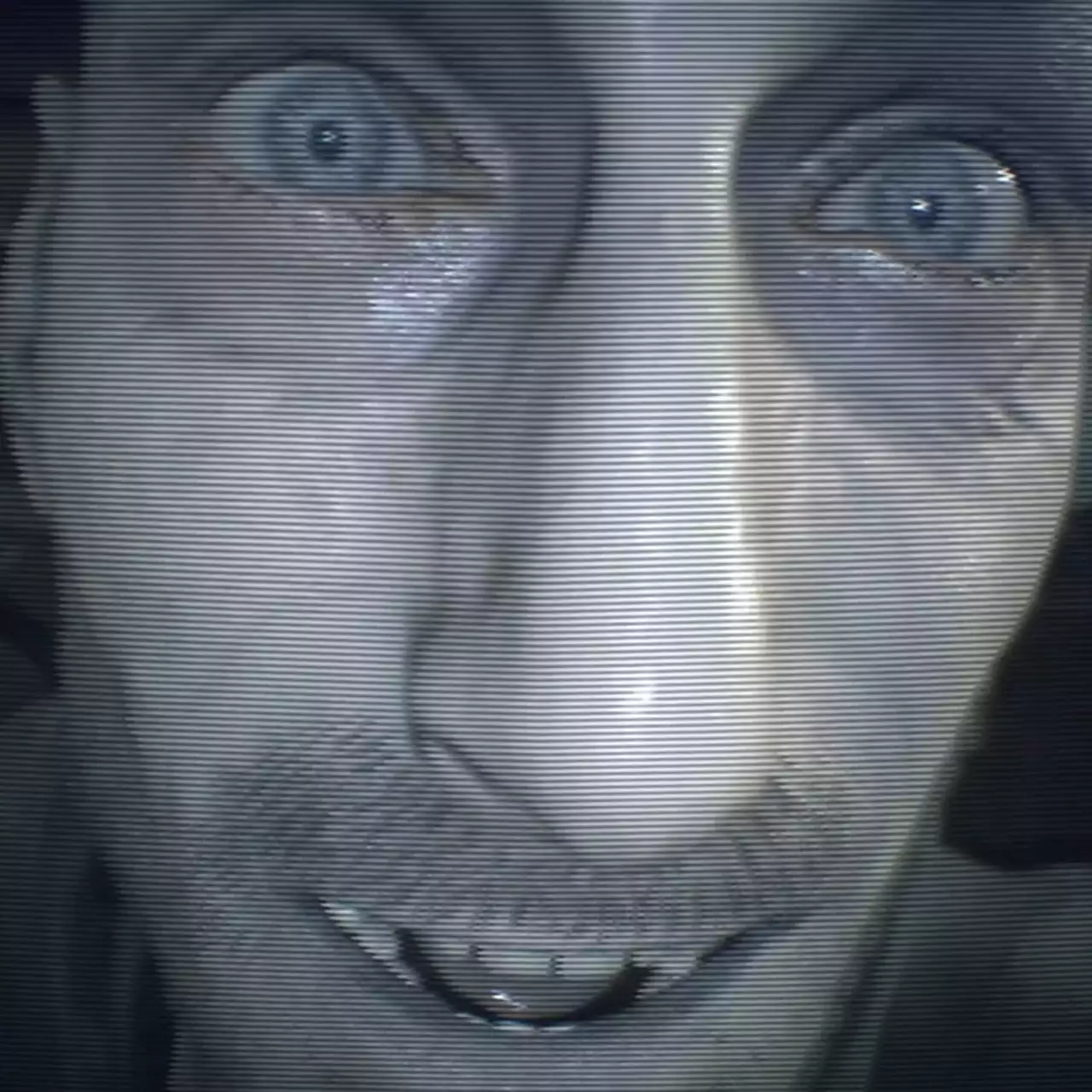 “Hello dudes” — a Russian gamer registered a website from Pragmata and filled it with Resident Evil memes