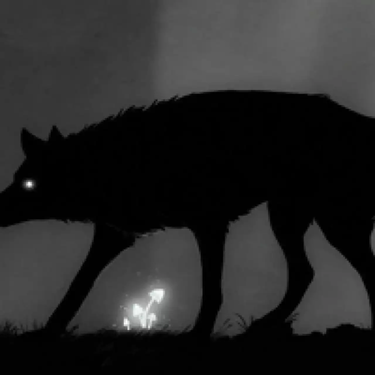 Microsoft бесплатно раздаёт Limbo на Xbox One