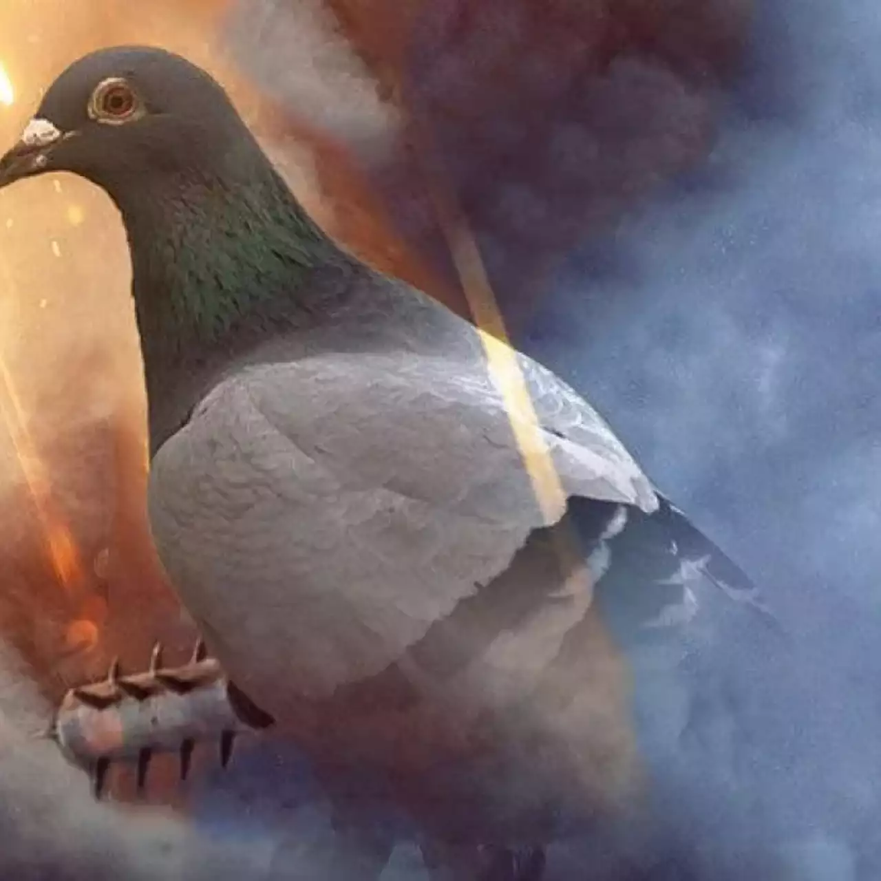 В Battlefield 1 можно будет поиграть за голубя