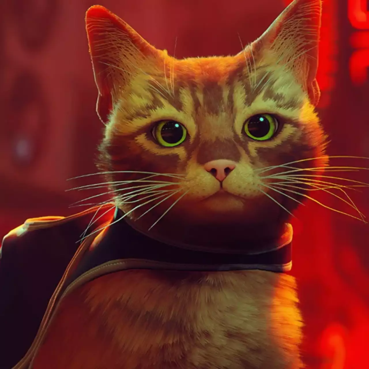 10 классных игр про котиков, которые стоит пройти, если понравилась Stray 10 классных игр про котиков, которые стоит пройти, если понравилась Stray
