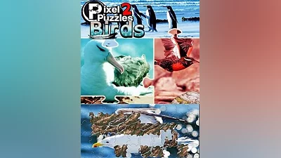 Pixel Puzzles 2: Birds Steam CD Key (Global)