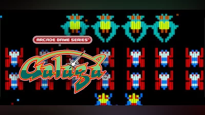 ARCADE GAME SERIES: GALAGA