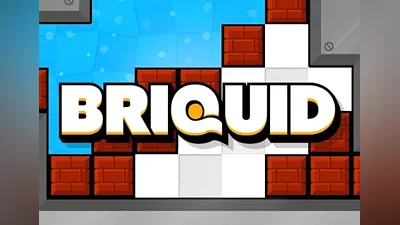 Briquid Global (Global) [Steam]