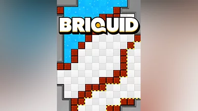 Briquid [steam]