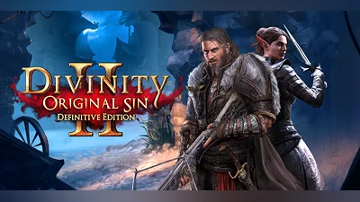 Divinity: Original Sin 2 - Definitive Edition (PS4) (Account) [Global] [Standard]