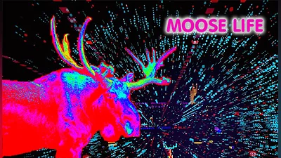 Moose Life (PS4) (Account) [Global] [Standard]