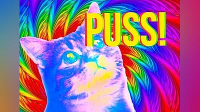 Puss! EN EU (EU) [Xbox One/Series]