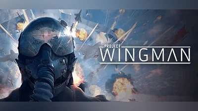 Project Wingman (Steam key)