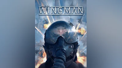 Project Wingman [steam]