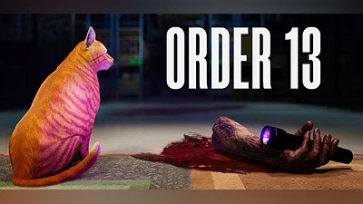 ORDER 13