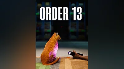 ORDER 13 Steam CD Key (Global)