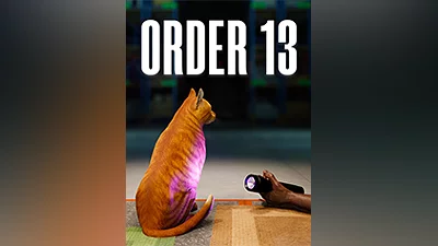 ORDER 13 [steam]