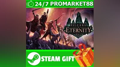 ALL COUNTRIES Pillars of Eternity STEAM GIFT