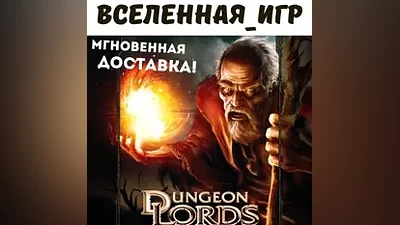 Dungeon Lords Steam Edition(Russian/The SNG)The Steam Key