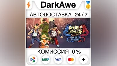 Double Dragon Gaiden: Rise of the Dragons STEAM AUTO