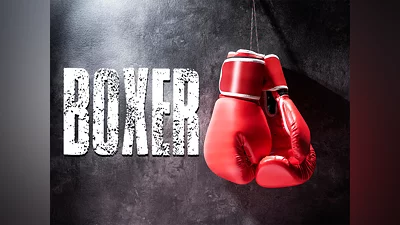 Boxer (PS4)