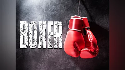 Boxer (PS4)