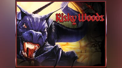 Risky Woods (QUByte Classics) (PS4)