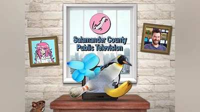 Salamander County Public Television PS4  & PS5  (PS4, PS5)