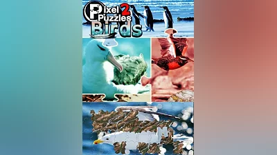 Pixel Puzzles 2: Birds Steam Key EUROPE