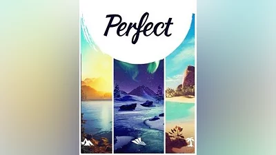 Perfect Steam Key EUROPE