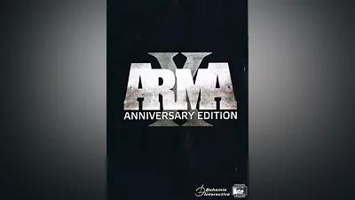 Arma X: Anniversary Edition Steam Key GLOBAL