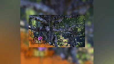 Wander Steam Gift