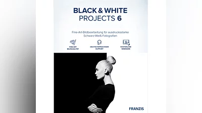 BLACK &amp; White projects 6 - Project Software Key (Lifetime / 1 PC)