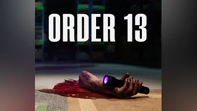 ORDER 13 PC Steam CD Key