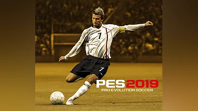 Pro Evolution Soccer 2019 Legend Edition Steam CD Key