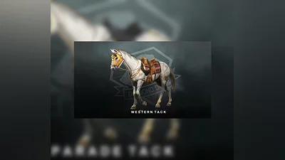 Metal Gear Solid V: The Phantom Pain - Western Tack DLC Steam CD Key